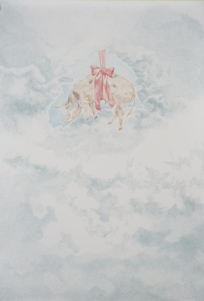 A taky zvířata (vykřičník)